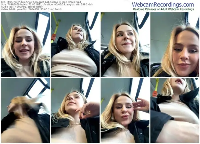 stripchat-elegant_babe-11-02-2024-13-29-41