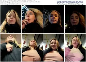 stripchat-elegant_babe-11-02-2024-15-49-07