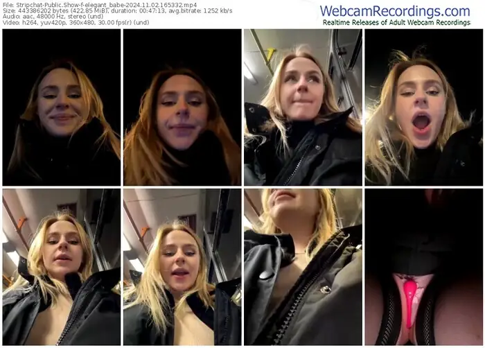 stripchat-elegant_babe-11-02-2024-16-53-32