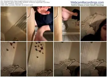 stripchat-papillondansant-11-02-2024-01-06-59