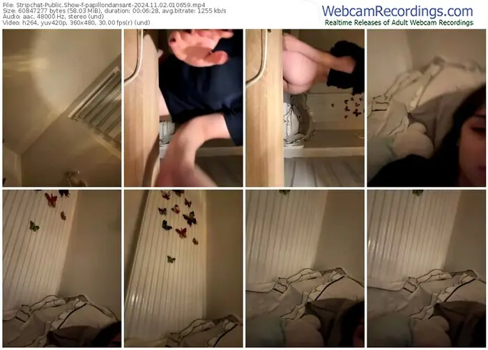 stripchat-papillondansant-11-02-2024-01-06-59