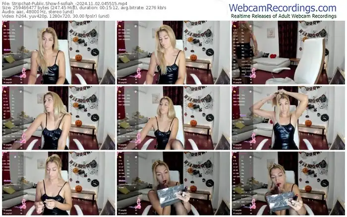 stripchat-sofiah_-11-02-2024-04-55-15