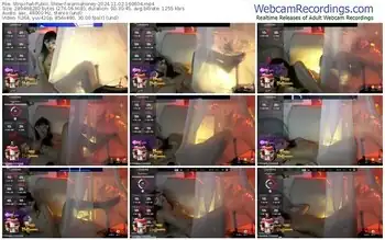 stripchat-wannahoney-11-02-2024-16-06-04