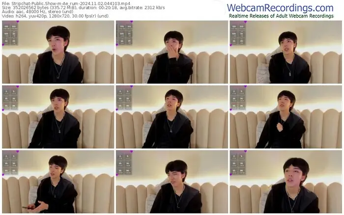 stripchat-ae_rum-11-02-2024-04-41-03