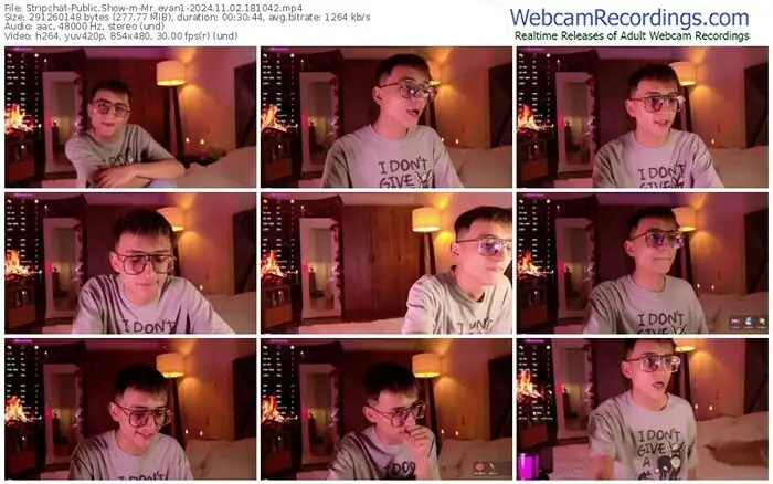 stripchat-mr_evan1-11-02-2024-18-10-42