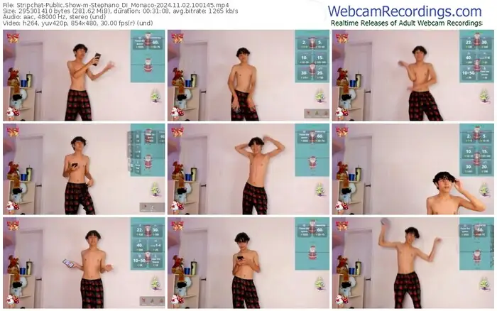 stripchat-stephano_di_monaco-11-02-2024-10-01-45