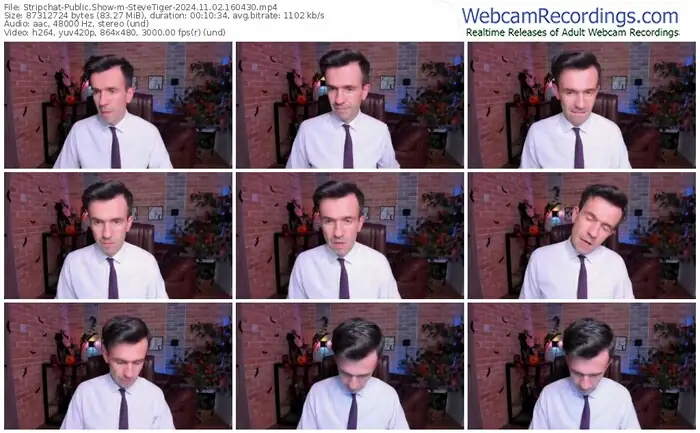 stripchat-stevetiger-11-02-2024-16-04-30