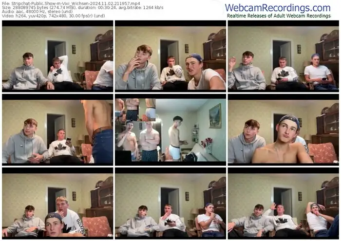 stripchat-vixi_wichsen-11-02-2024-21-19-57