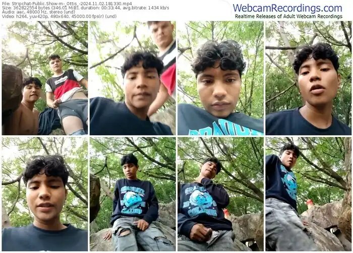 stripchat-_ottis_-11-02-2024-18-13-30