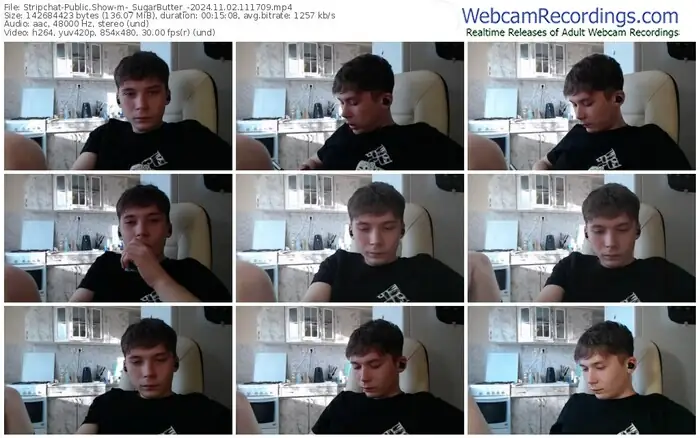 stripchat-_sugarbutter_-11-02-2024-11-17-09