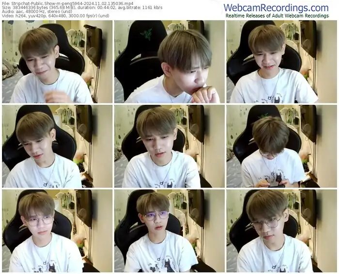 stripchat-peng5964-11-02-2024-13-50-36