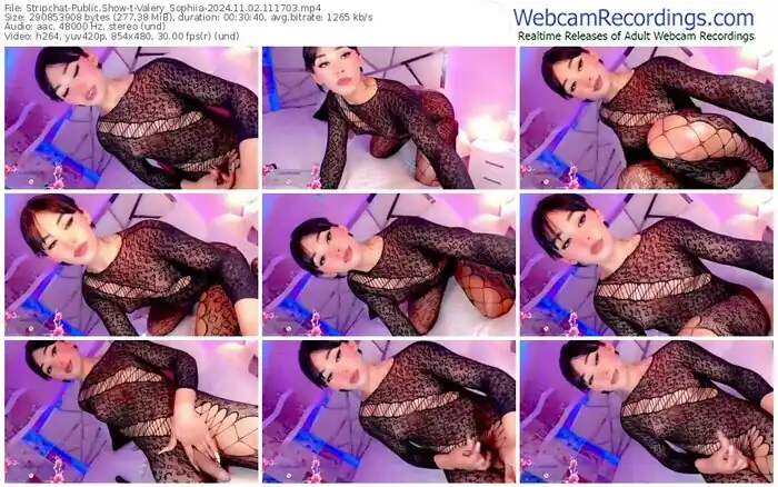 stripchat-valery_sophiia-11-02-2024-11-17-03