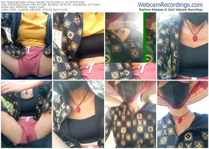 stripchat-sweet_toy20-11-03-2024-02-35-19