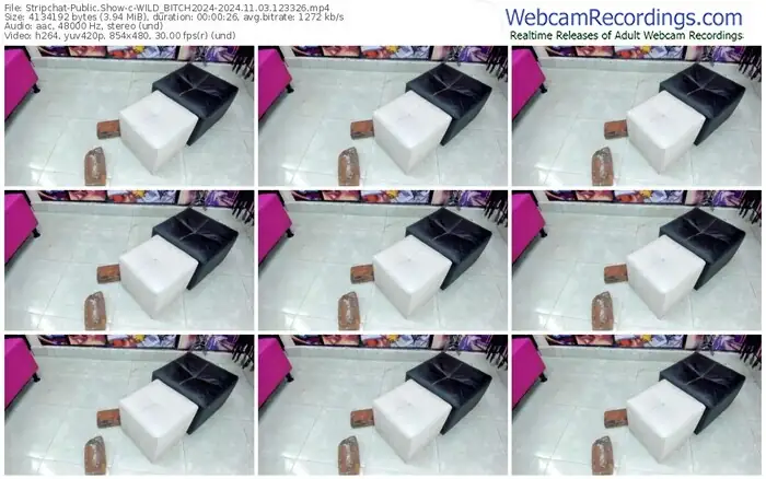 stripchat-wild_bitch2024-11-03-2024-12-33-26