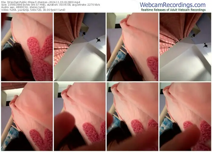 stripchat--meimei--11-03-2024-01-28-00