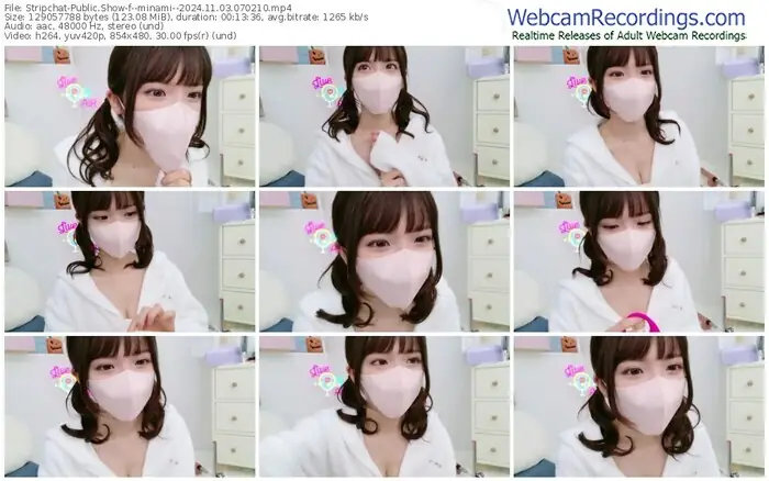 stripchat--minami--11-03-2024-07-02-10