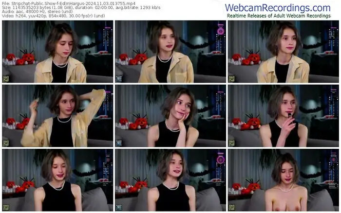 stripchat-edlinhargus-11-03-2024-01-37-55