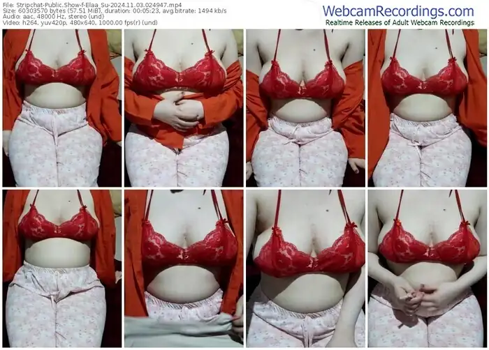 stripchat-elaa_su-11-03-2024-02-49-47