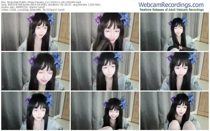 stripchat-koala_cici-11-03-2024-10-24-44