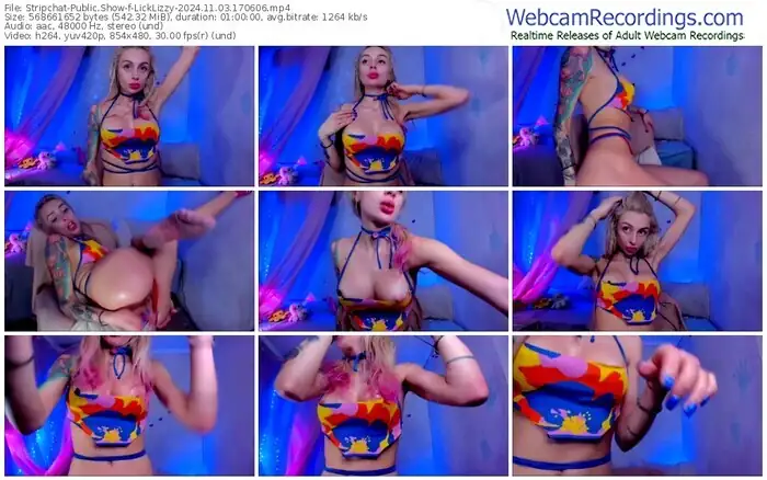 stripchat-licklizzy-11-03-2024-17-06-06