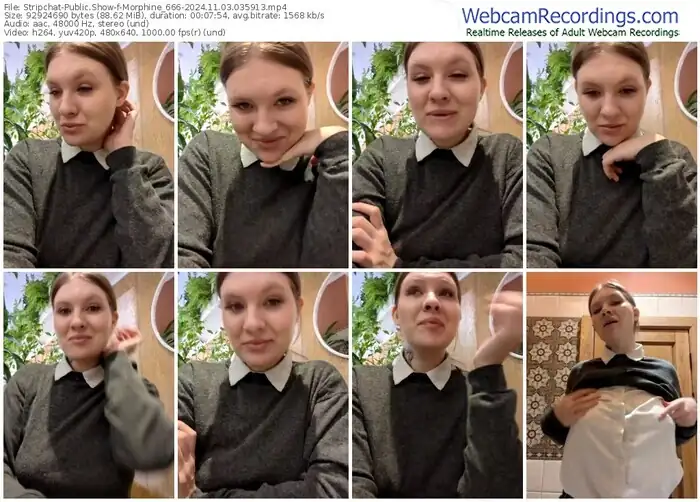 stripchat-morphine_666-11-03-2024-03-59-13