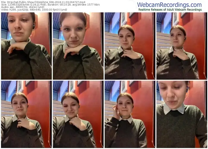 stripchat-morphine_666-11-03-2024-06-47-27
