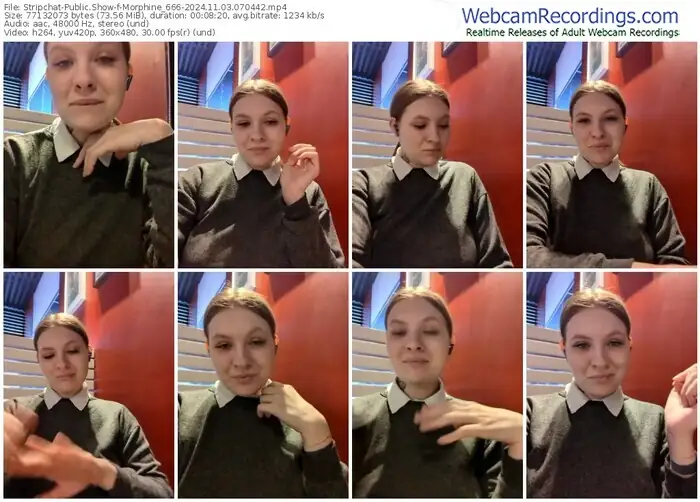 stripchat-morphine_666-11-03-2024-07-04-42