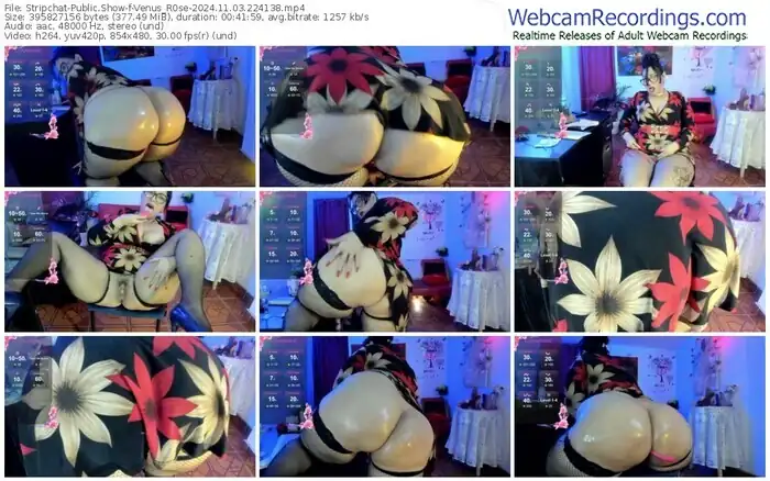 stripchat-venus_r0se-11-03-2024-22-41-38