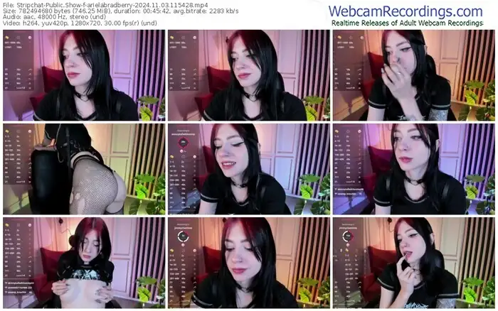 stripchat-arielabradberry-11-03-2024-11-54-28