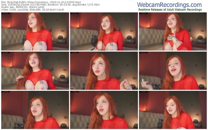 stripchat-poisonivy_-11-03-2024-11-05-03