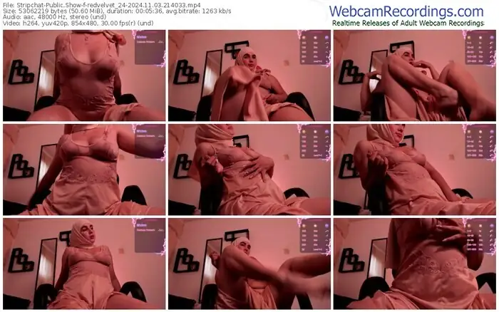 stripchat-redvelvet_24-11-03-2024-21-40-33