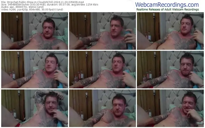 stripchat-cloudsnchill-11-03-2024-03-58-39