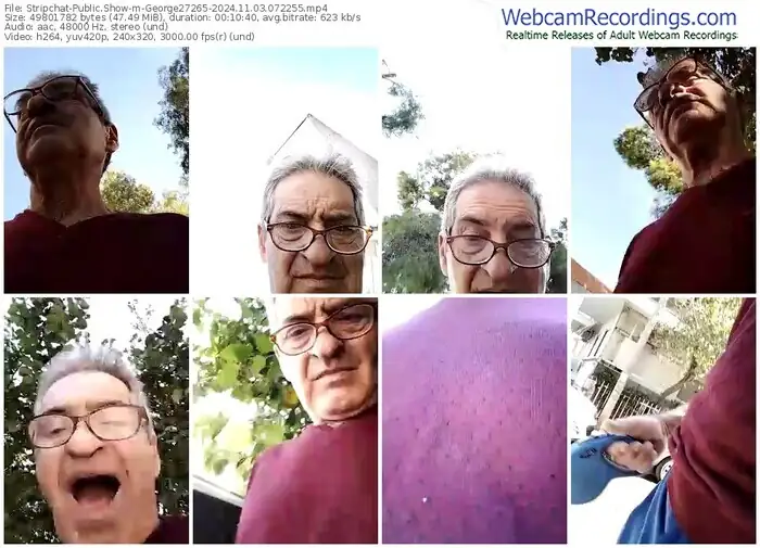 stripchat-george27265-11-03-2024-07-22-55