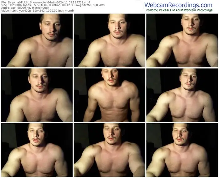 stripchat-lionedwin-11-03-2024-19-47-58