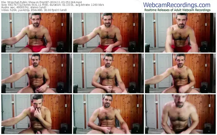 stripchat-troyt87-11-03-2024-05-12-44