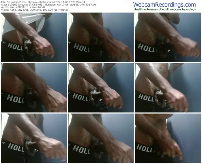stripchat-phbbcsham-11-03-2024-20-28-39