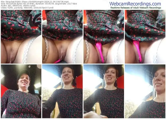 stripchat-exhibitionsplit-11-04-2024-10-47-36