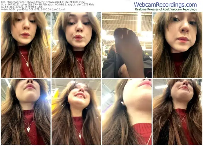 stripchat-peachy_dream-11-04-2024-21-37-08