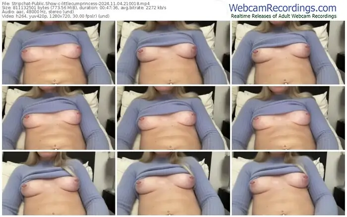 stripchat-littlecumprincess-11-04-2024-21-00-18