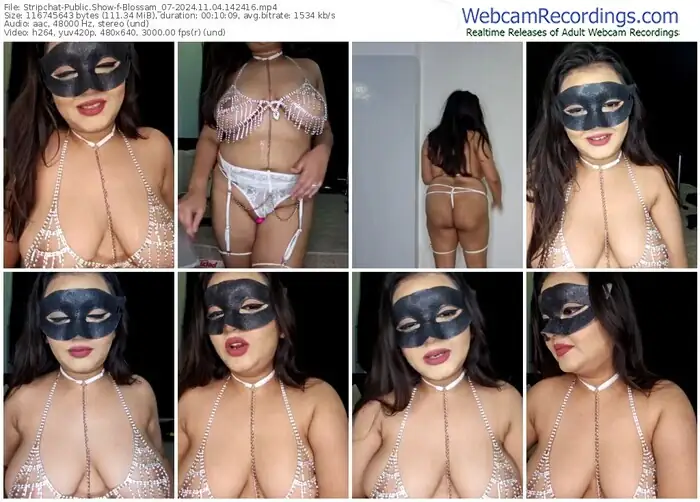 stripchat-blossam_07-11-04-2024-14-24-16