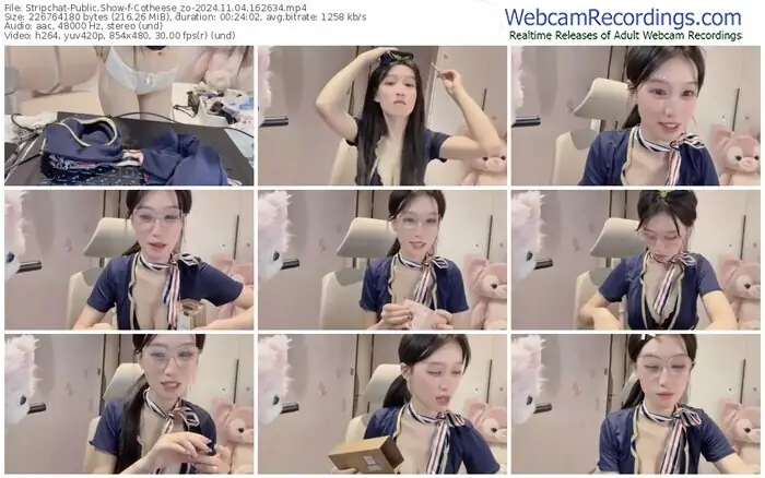 stripchat-cotheese_zo-11-04-2024-16-26-34