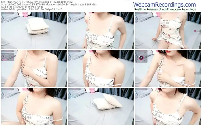 stripchat-ly_26-11-04-2024-01-44-30