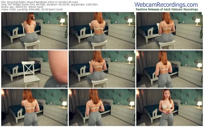 stripchat-taitebasil-11-04-2024-09-11-45