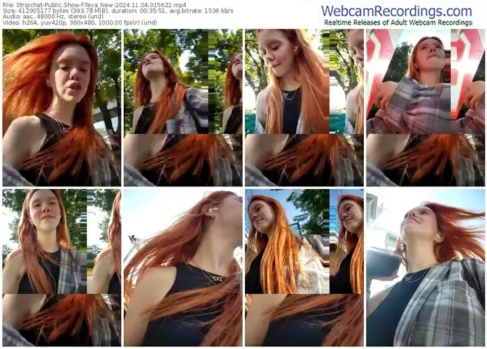 stripchat-teya_new-11-04-2024-01-56-22