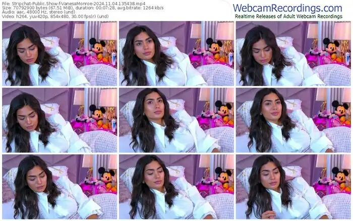 stripchat-vanesamonroe-11-04-2024-13-54-38