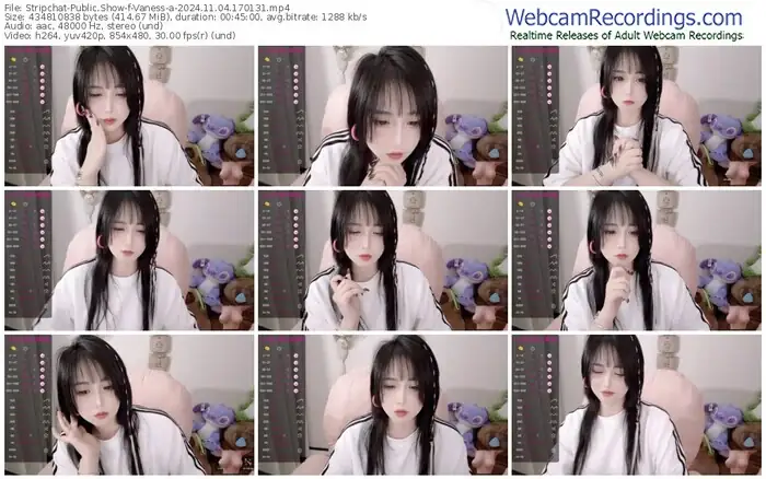 stripchat-vaness-a-11-04-2024-17-01-31