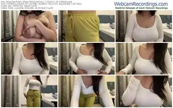 stripchat-wild_fantasy_7-11-04-2024-22-06-24