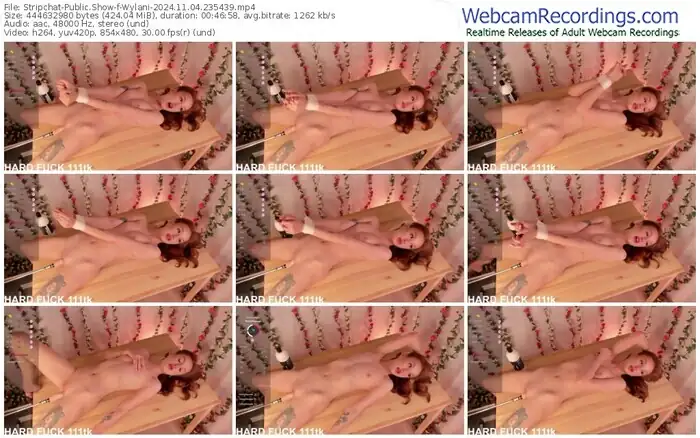 stripchat-wylani-11-04-2024-23-54-39