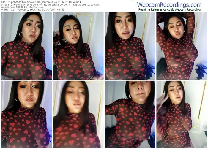 stripchat-xxx_harna-11-04-2024-06-40-54