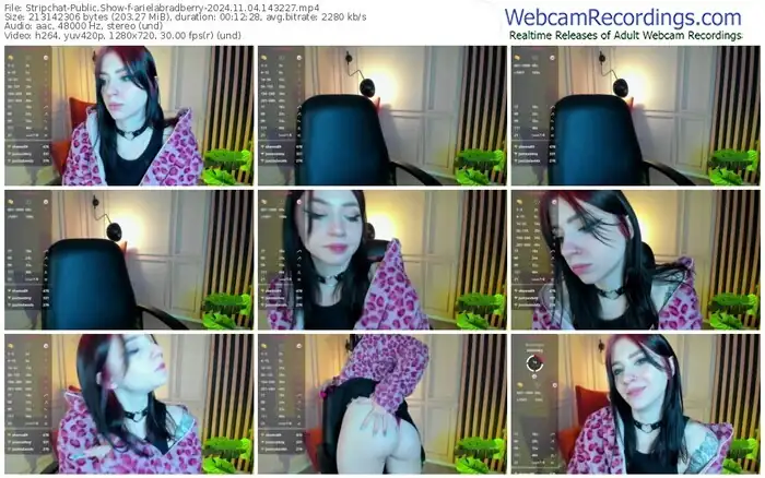 stripchat-arielabradberry-11-04-2024-14-32-27